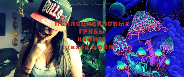 соль ск Краснослободск