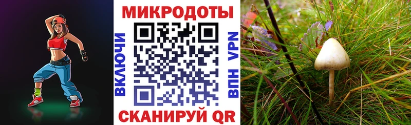 цены   Мензелинск  Псилоцибиновые грибы мухоморы 